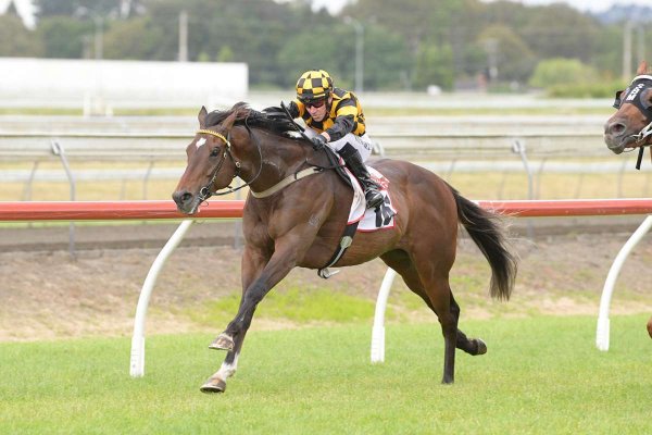 Smart ride gets Habana home