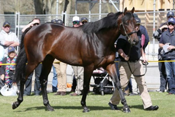 Black-Type Boost for Almanzor