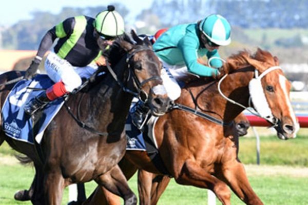 Highly Recommended Adds Another Stakes Horse