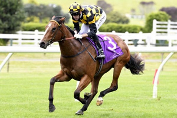 Savabeel’s Best Colt Embellish Retired