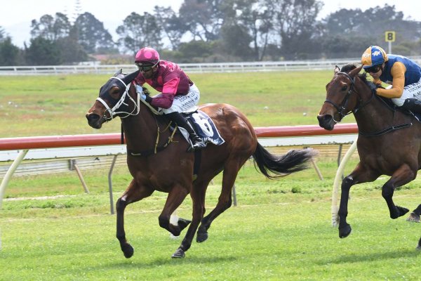 Almanzor filly goes all the way