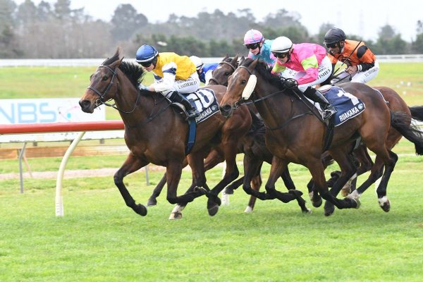 Ruakaka double for resident sire