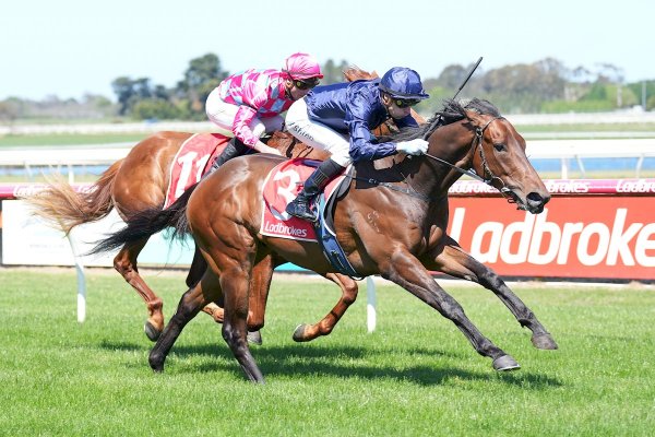 Saintly run from promising 3YO