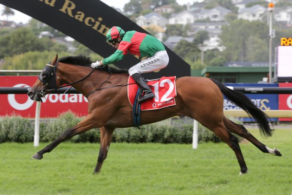 Derby victor flies Tavistock flag