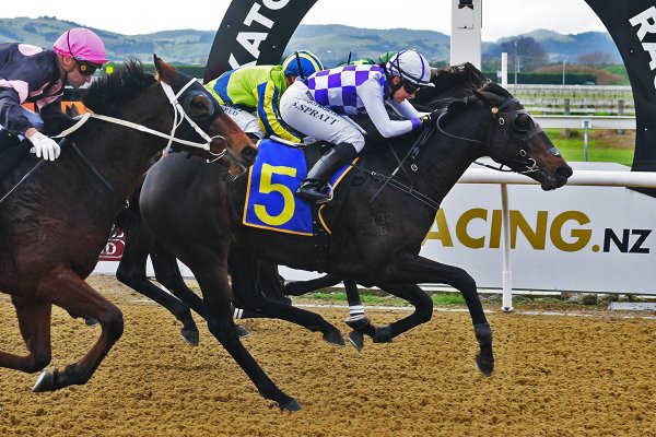 Embellish filly opens account