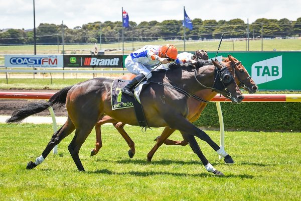 Improving Almanzor 3YO on the board