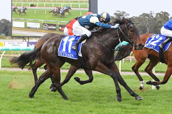 Well-bred filly impresses at Bendigo