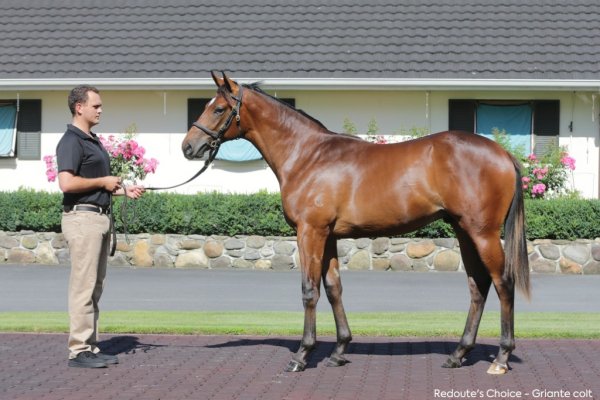 Well-related colt returns in fine fashion