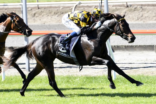 Well Related Filly Breaks Maidens