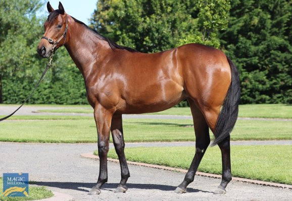 Booming debut from promising filly