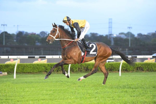 Tavistock Strikes 80th Individual Winner in Australia