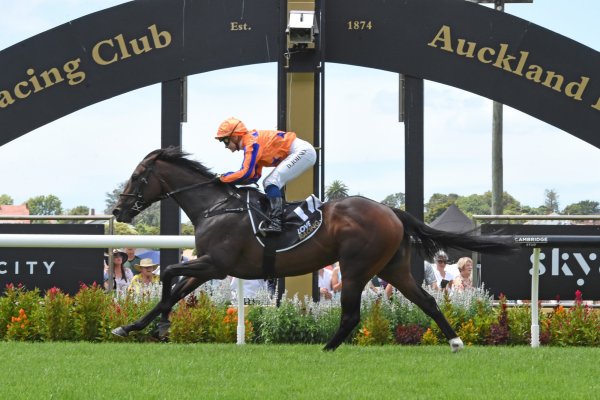 Exciting Tavistock mare distances rivals