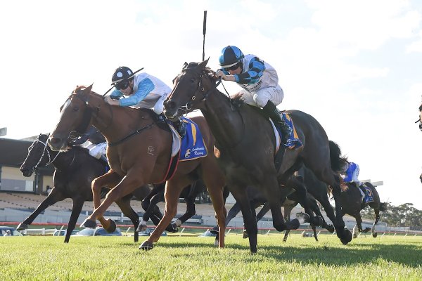 Tavistock filly has bright future