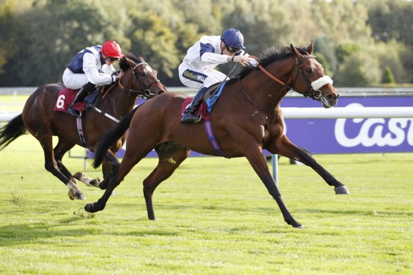 European success with well-named colt