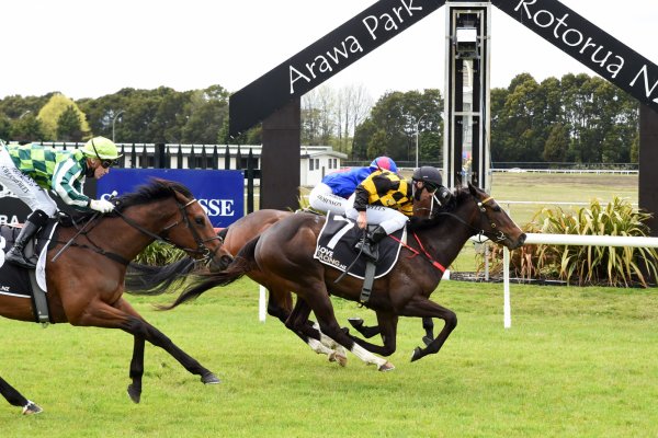 Funny Girl bounces back at Rotorua