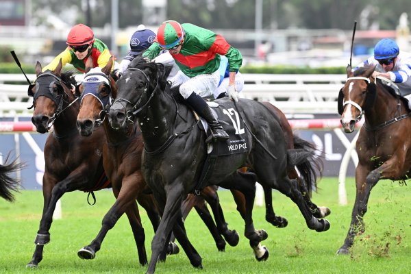 Geriatrix shines on Australian debut