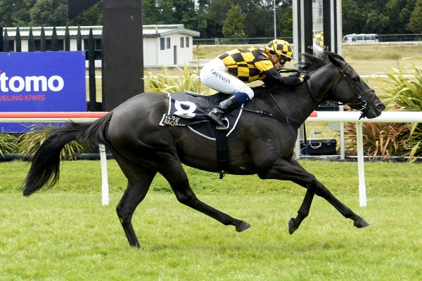 Well-bred mare an emphatic Rotorua winner