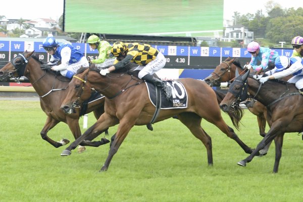 Gravitelle stays on strongly for Ellerslie win