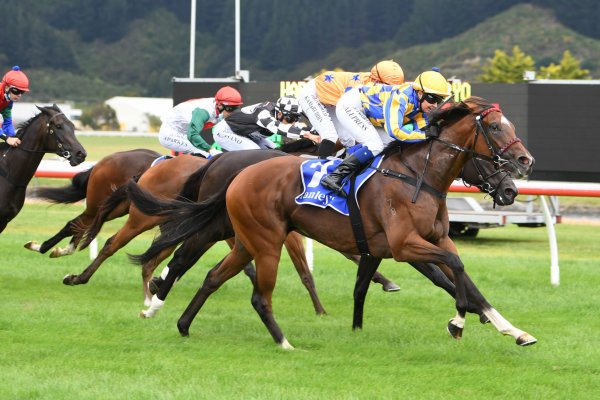 Gucci Belt doubles up at Trentham