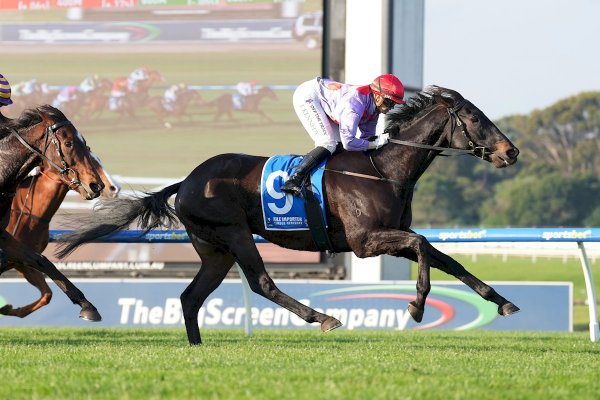 Homebred continues top form