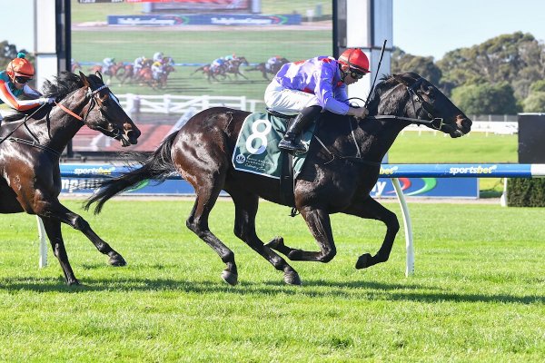 Hard To Cross strikes at Sandown