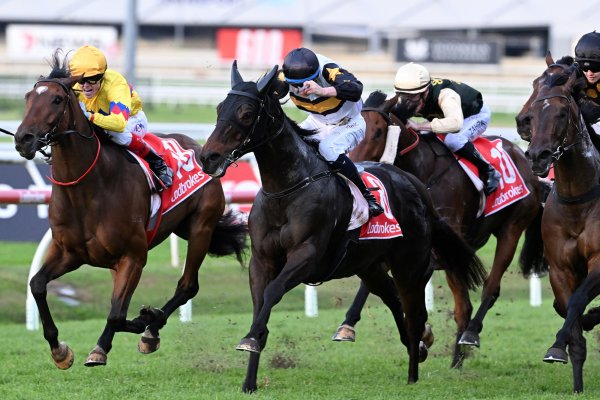 Here To Shock stakes Stradbroke claim