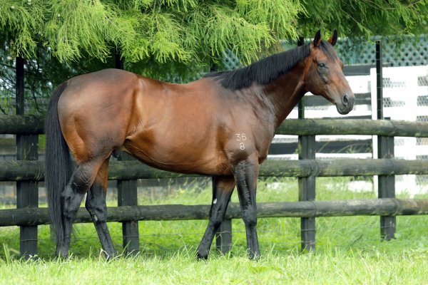 Highly Recommended Relocating to Berkley Stud