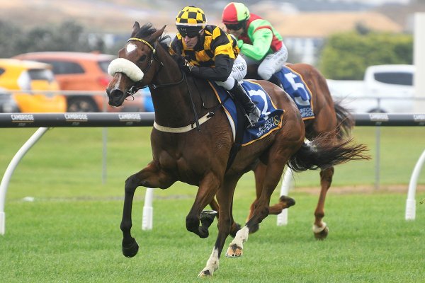 Jaarffi confirms stakes path