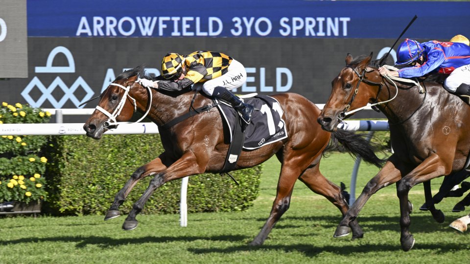 Joliestar wins 2024 Group 2 Arrowfield Sprint