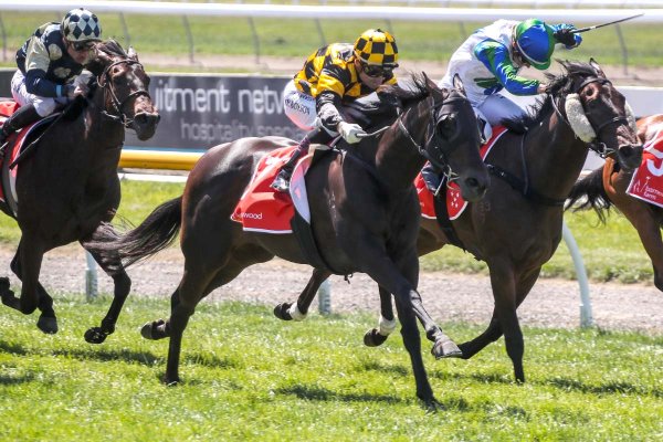 Kahma Lass posts stunning Group 1 victory