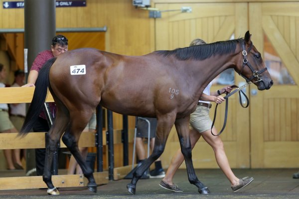 Pike secures well-related filly