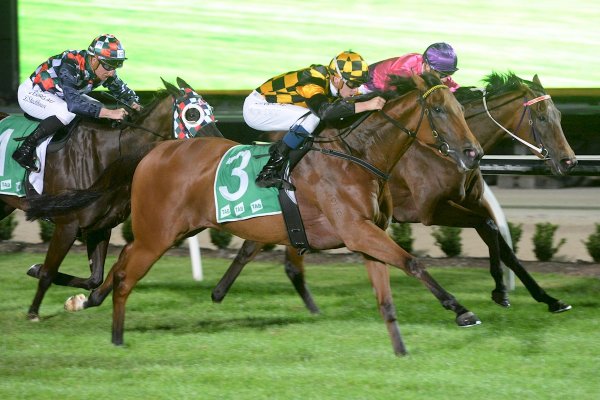 Laffalong too strong at Cranbourne