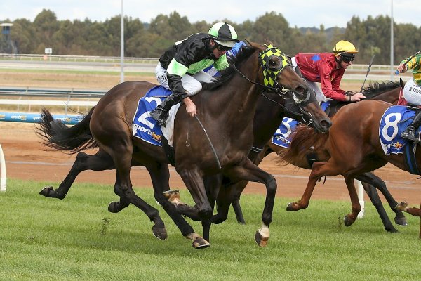 Highly Recommended Strikes 3YO Winner in Australia