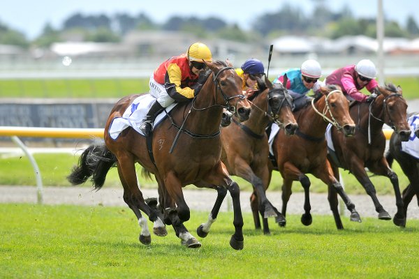 Burgundy’s boy sizzles at Riccarton