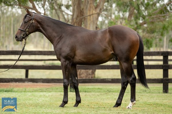 Almanzor hits new heights