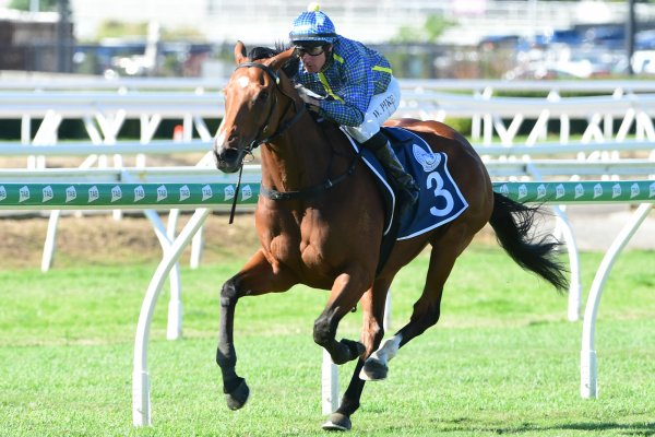 Banker makes another stakes-winning deposit