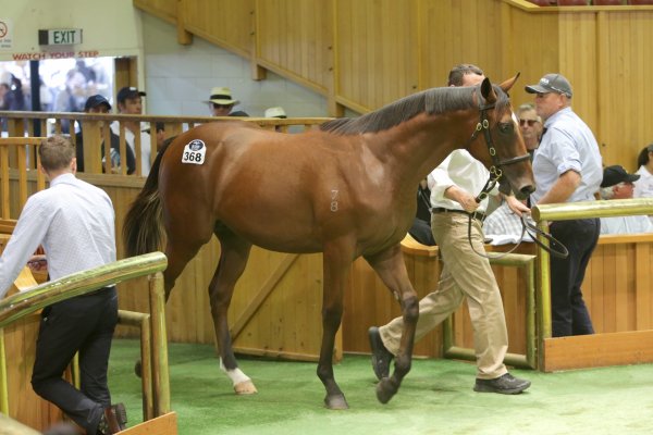 Harding on family orders at Karaka