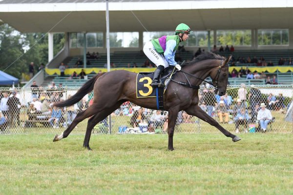 Burgundy 4YO Mondorani Registers Second Win this Year