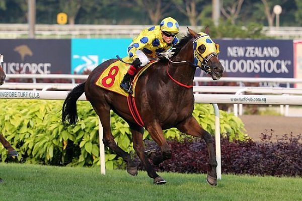 Cambridge Stud Graduate wins Singapore Gold Cup