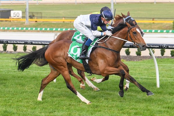 Debut winner provides timely pedigree update