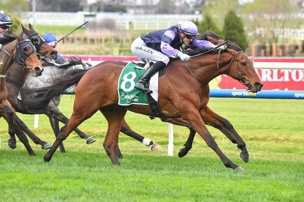 Import bounces back in style