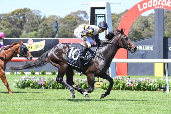 Colt’s win no shock to trainer