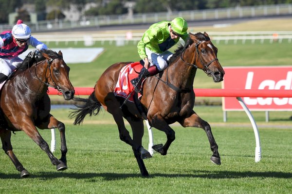 Stud graduates land winning treble at Sandown