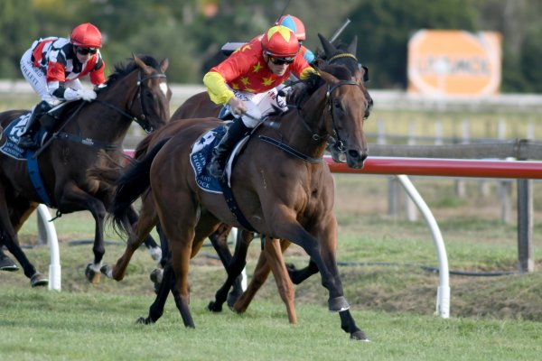 Queen Of Diamonds Wins Filly of the Year title