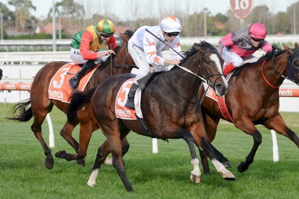 Tavisan too good at Caulfield