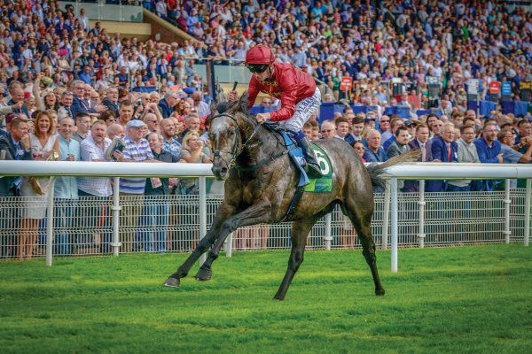 Book Closed For Roaring Lion