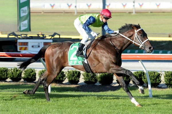 First Australian strike for Almanzor