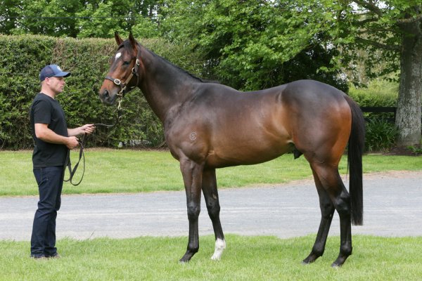 Cambridge graduate on top at Karaka