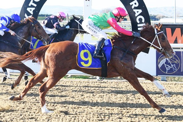 Extraordinary effort from well-bred filly