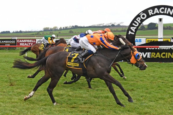 Sophisticardo sizzles at Taupo